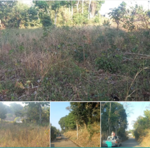 TERRENO A UNA CUADRA DE CARRETERA , CANTON LOS MAGUEYES AHUACHAPAN