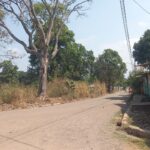 terreno venta ahuachapan 5