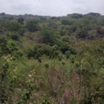 terreno el tigre calapa3