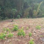terreno en atiqyuizaya
