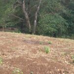 terreno en atiqyuizaya1