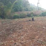 terreno en atiqyuizaya2